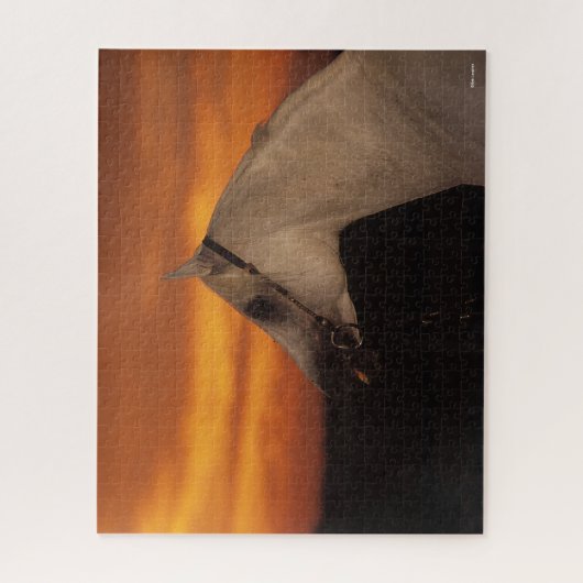 Bob Langrish | Grauer arabischer Headshot bei Suns Puzzle (Vertikal)