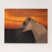 Bob Langrish | Grauer arabischer Headshot bei Suns Puzzle (Horizontal)