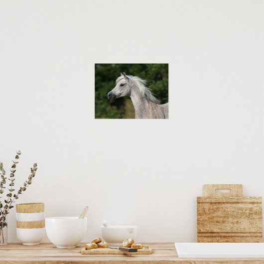 Bob Langrish | Grauer arabischer Headshot Poster (Küche)