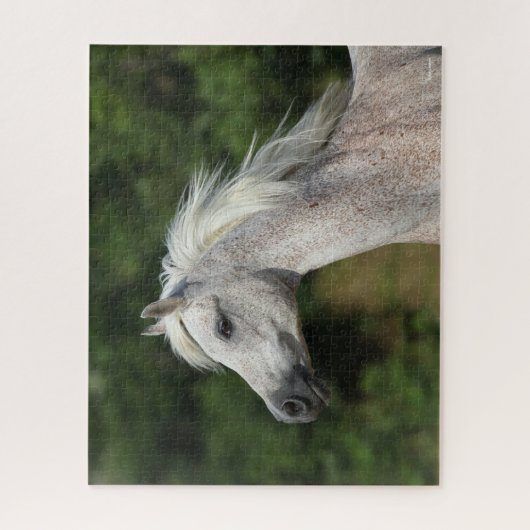 Bob Langrish | Grauer arabischer Headshot Puzzle (Vertikal)