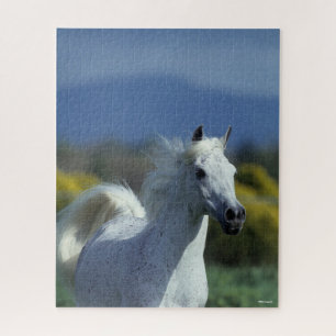 Bob Langrish   Grauer arabischer Headshot Puzzle