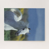 Bob Langrish | Grauer arabischer Headshot Puzzle (Horizontal)