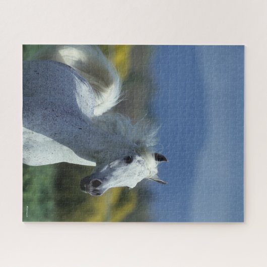 Bob Langrish | Grauer arabischer Headshot Puzzle (Horizontal)