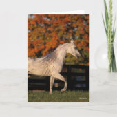 Bob Langrish | Grauer arabischer Hengst Herbst Karte (Vorderseite)