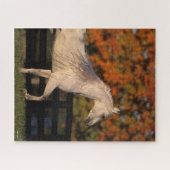 Bob Langrish | Grauer arabischer Hengst Herbst Puzzle (Horizontal)