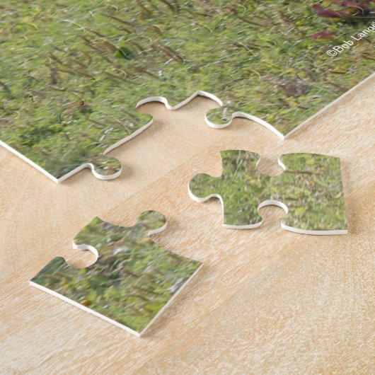 Bob Langrish | Grauer arabischer Hengst mit Backli Puzzle (Seite)