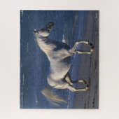 Bob Langrish | Grauer arabischer Hengst Spaziergan Puzzle (Vertikal)