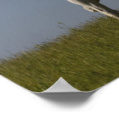 Bob Langrish | Grauer arabischer Hengst vor Ort Poster (Ecke)