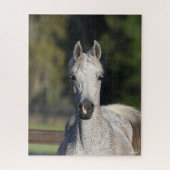 Bob Langrish | Grauer arabischer Kopfschuss Puzzle (Vertikal)