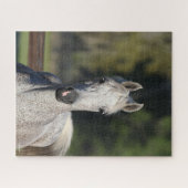Bob Langrish | Grauer arabischer Kopfschuss Puzzle (Horizontal)