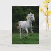 Bob Langrish | Grauer arabischer Running Karte (Gelbe Blume)