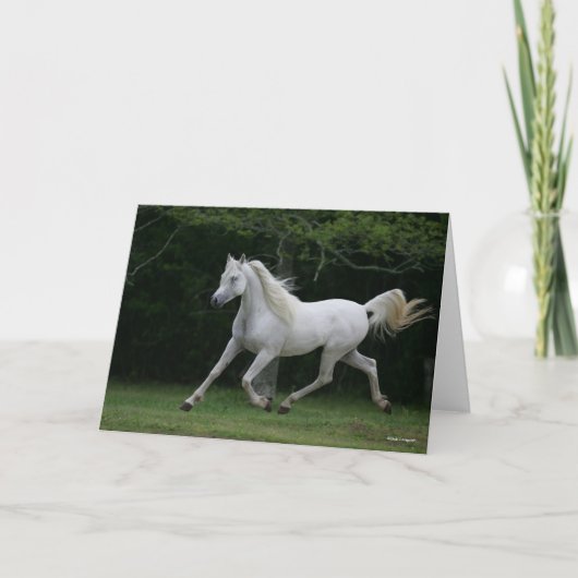 Bob Langrish | Grauer arabischer Running Karte (Vorderseite)