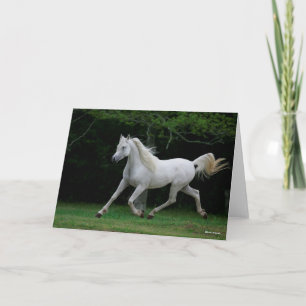 Bob Langrish   Grauer arabischer Running Karte