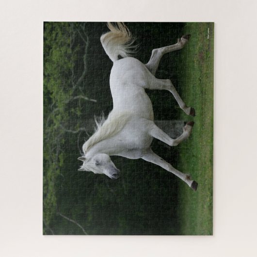 Bob Langrish | Grauer arabischer Running Puzzle (Vertikal)