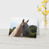 Bob Langrish | Grauer arabischer Stallion Headshot Karte (Gelbe Blume)