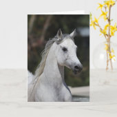 Bob Langrish | Grauer arabischer Stallion-Headshot Karte (Gelbe Blume)
