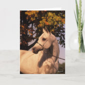 Bob Langrish | Grauer arabischer Stallion Headshot Karte (Vorderseite)