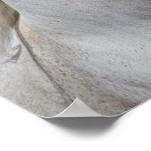 Bob Langrish | Grauer arabischer Stallion-Headshot Poster (Ecke)