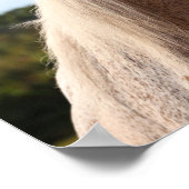 Bob Langrish | Grauer arabischer Stallion Headshot Poster (Ecke)