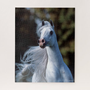 Bob Langrish Grauer arabischer Stallion-Headshot Puzzle