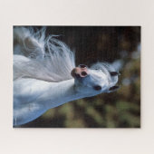 Bob Langrish | Grauer arabischer Stallion-Headshot Puzzle (Horizontal)
