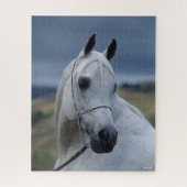 Bob Langrish | Grauer arabischer Stallion-Headshot Puzzle (Vertikal)