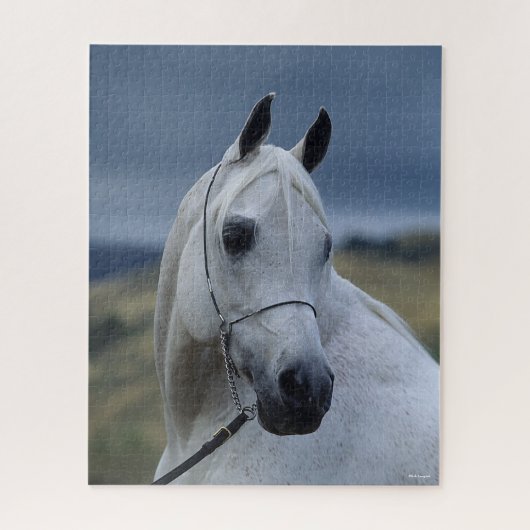 Bob Langrish | Grauer arabischer Stallion-Headshot Puzzle (Vertikal)