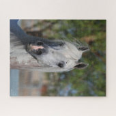 Bob Langrish | Grauer arabischer Stallion-Headshot Puzzle (Horizontal)