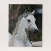 Bob Langrish | Grauer arabischer Stallion-Headshot Puzzle (Vertikal)