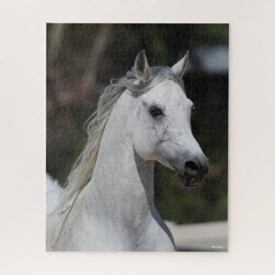 Bob Langrish Grauer arabischer Stallion-Headshot Puzzle