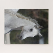 Bob Langrish | Grauer arabischer Stallion-Headshot Puzzle (Horizontal)