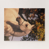 Bob Langrish | Grauer arabischer Stallion Headshot Puzzle (Horizontal)