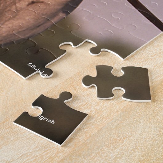 Bob Langrish | Grauer arabischer Stallion Headshot Puzzle (Seite)