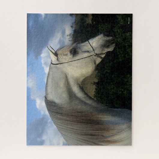 Bob Langrish | Grauer arabischer Stallion-Headshot Puzzle (Vertikal)