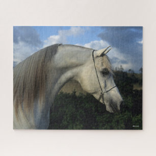 Bob Langrish Grauer arabischer Stallion-Headshot Puzzle