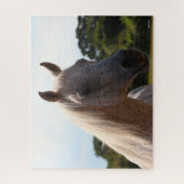 Bob Langrish | Grauer arabischer Stallion Headshot Puzzle (Vertikal)