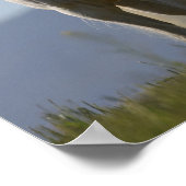 Bob Langrish | Grauer Arabischer Stallion Stehend Poster (Ecke)