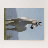 Bob Langrish | Grauer Arabischer Stallion Stehend Puzzle (Horizontal)
