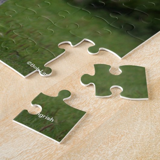 Bob Langrish | Grauer Arabischer Stallion Stehend Puzzle (Seite)