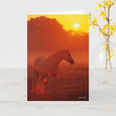 Bob Langrish | Grauer Arabischer Stehend bei Sunse Karte (Gelbe Blume)