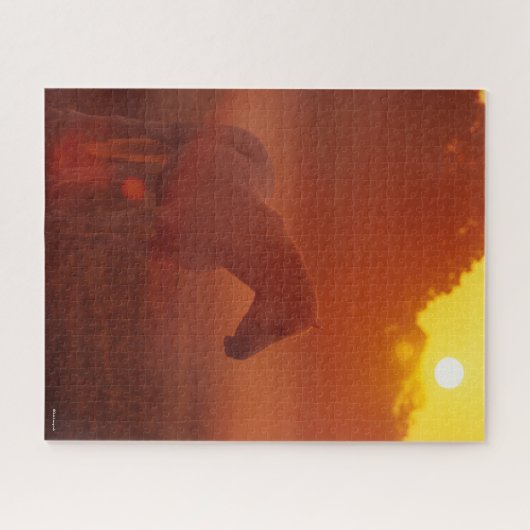 Bob Langrish | Grauer Arabischer Stehend bei Sunse Puzzle (Horizontal)