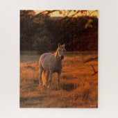 Bob Langrish | Grauer Arabischer Stehend bei Sunse Puzzle (Vertikal)