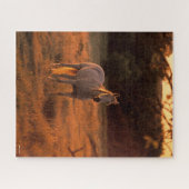 Bob Langrish | Grauer Arabischer Stehend bei Sunse Puzzle (Horizontal)