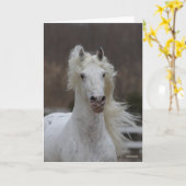 Bob Langrish | Grauer Friesian Appaloosa-Headshot Karte (Gelbe Blume)