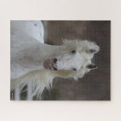 Bob Langrish | Grauer Friesian Appaloosa-Headshot Puzzle (Horizontal)