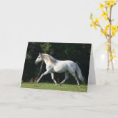 Bob Langrish | Grauer Lusitano Stallion Karte (Gelbe Blume)