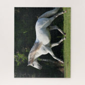Bob Langrish | Grauer Lusitano Stallion Puzzle (Vertikal)