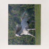 Bob Langrish | Grauer Lusitano-Stallion Running Puzzle (Vertikal)