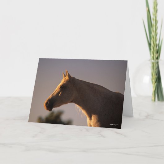 Bob Langrish | Grauer Stehender Backlit Headshot Karte (Vorderseite)