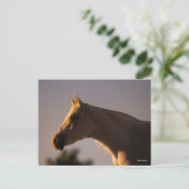 Bob Langrish | Grauer Stehender Backlit Headshot Postkarte (Stehend Vorderseite)